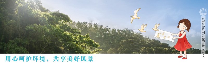 湖南岳阳洞庭湖国际观鸟节